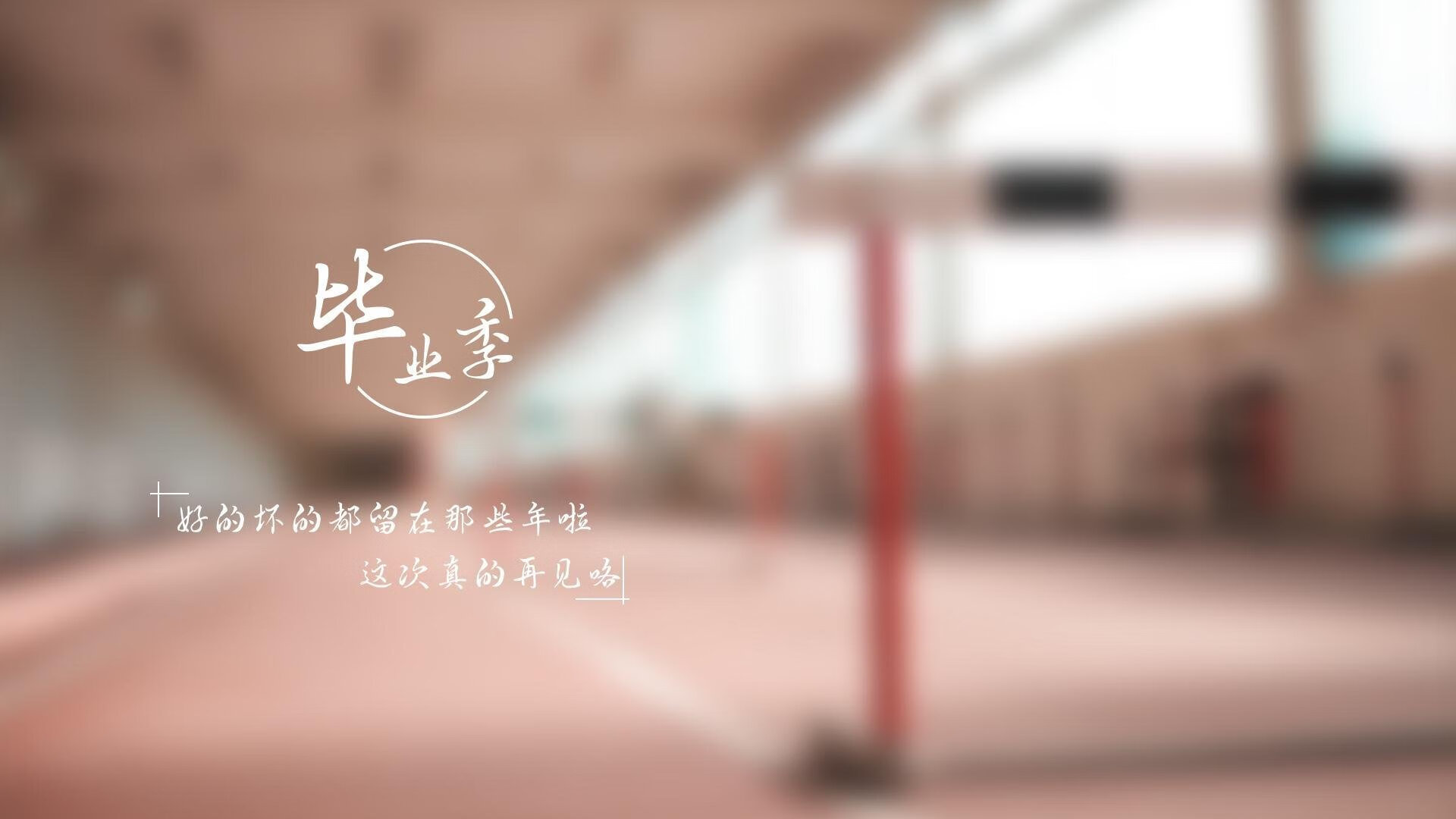 开云官网登录-德国马术协会与非洲马术协会开展技术援助项目，提升当地水平。