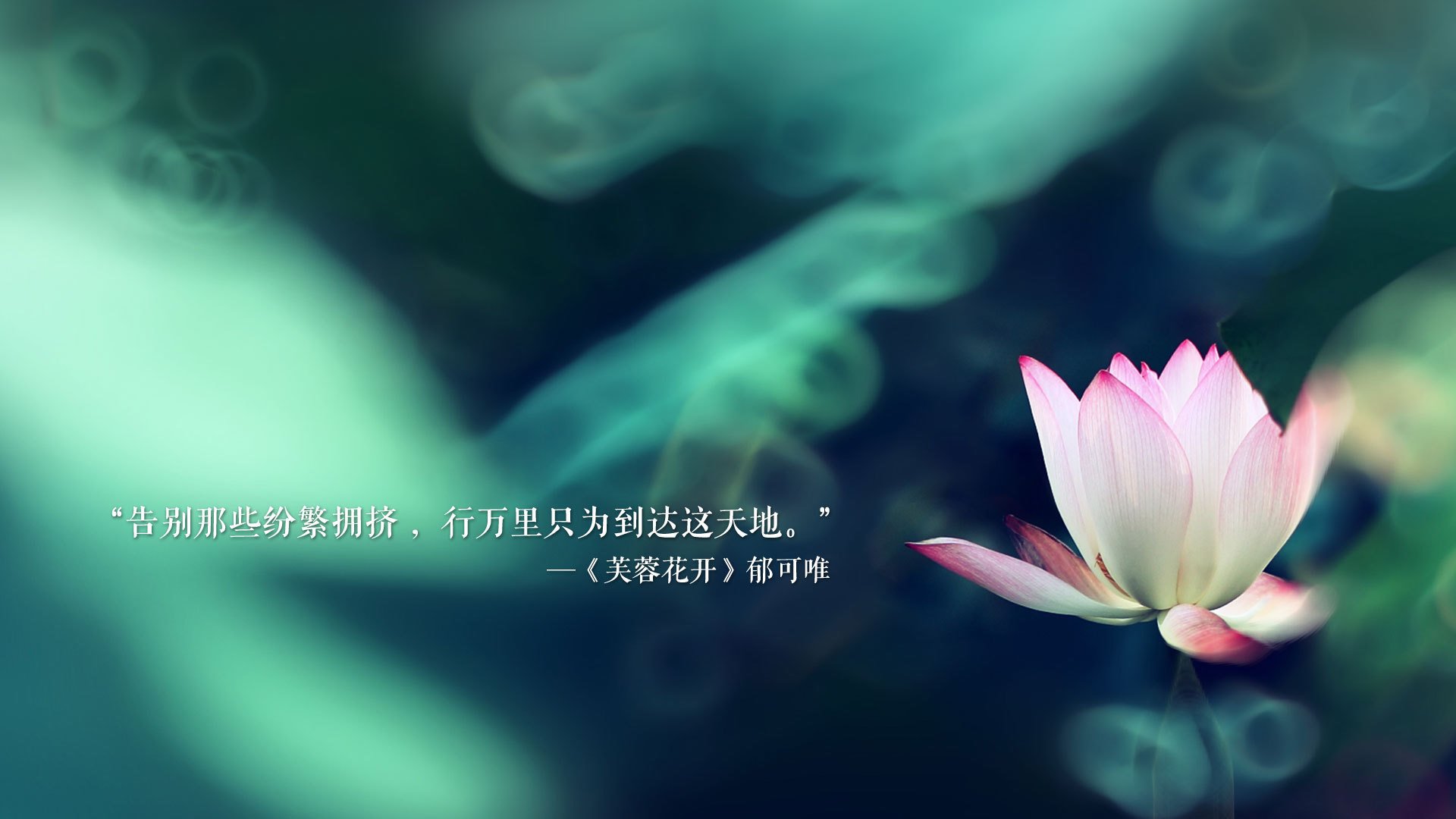 青海队在最新一场比赛中获得重要胜利，表现不俗，青海篮球赛事
