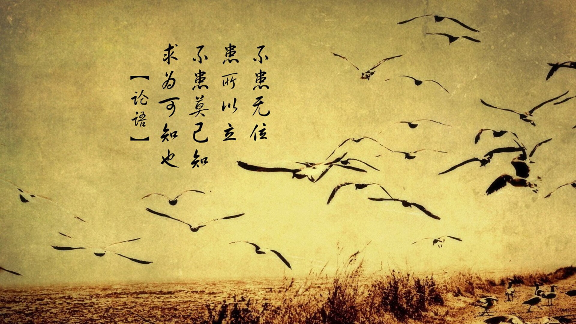 职业球员赛季前心理评估纳入体测流程保障竞技状态，篮球心理测试