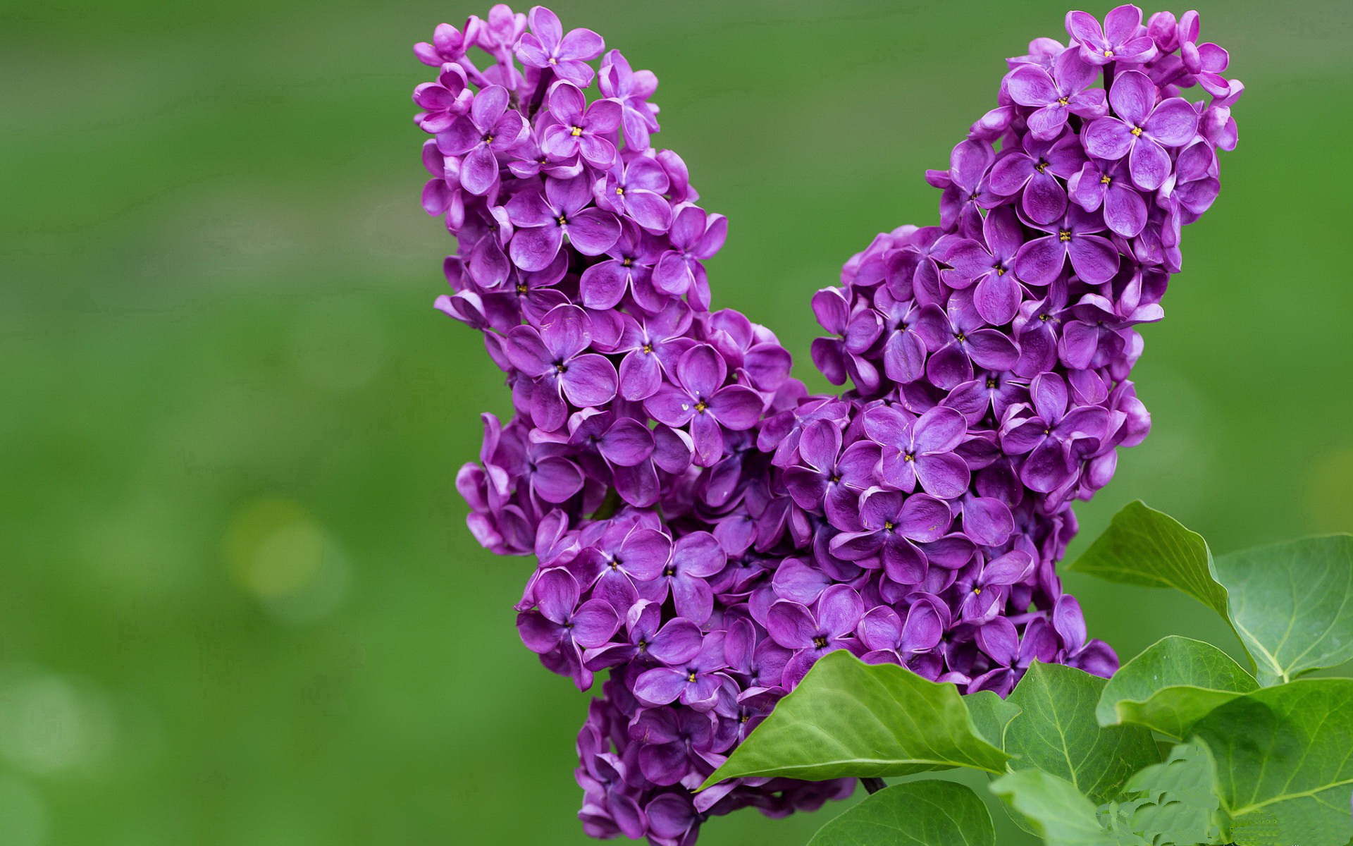 转身动作流畅,提升比赛表现,各种转身动作外观差别虽大
