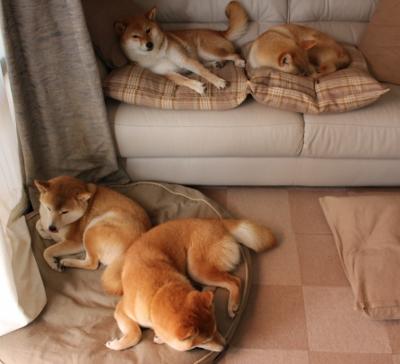 马修·图穆亚在关键时刻的突破与反击，让袋鼠队屡屡逆转局面，马修穆勒