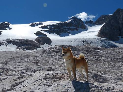 Kaiyun APP-马尔尚突破自我刷新纪录，马尔尚兄弟酒庄