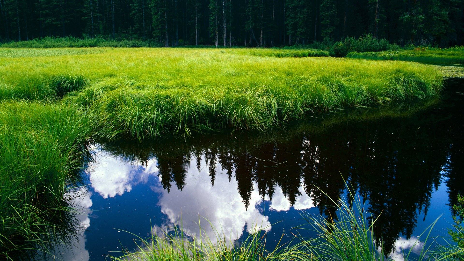 马尔尚突破自我刷新纪录，马尔尚兄弟酒庄